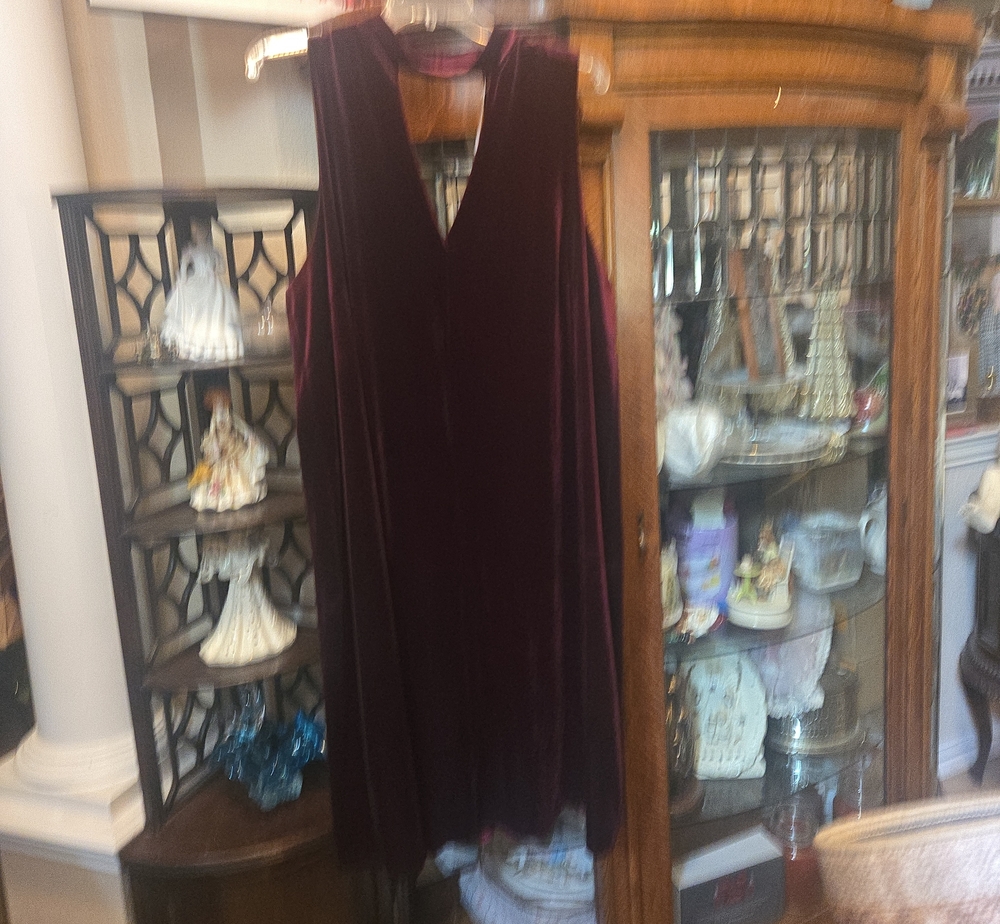 Soprano Deep Burgundy Velvet V-Neck Dress